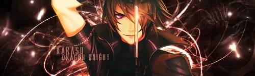 Signature made for Karasu Dragon Knight in 2013