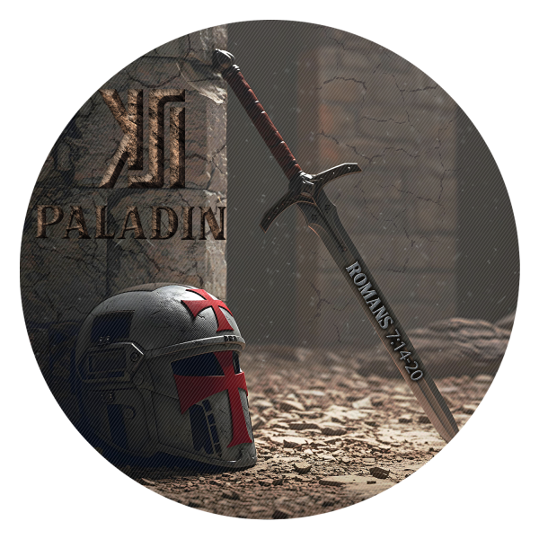File:Paladinpfp.png