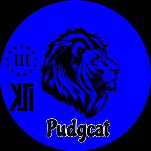 Profile picture made for KSI Pudgcat in 2020