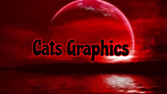 Banner made for Cats Graphicts KSI Pudgcat in 2020