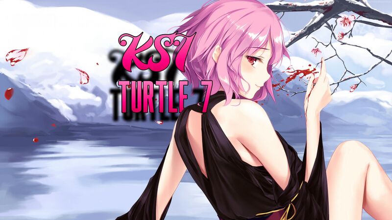 File:Turt3.jpg