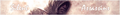 Thumbnail for version as of 04:37, 26 July 2026