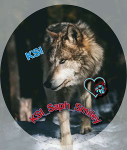 Profile picture made for KSI Aim Sapphire in January 2023