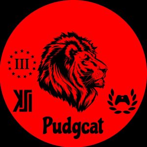 Profile picture made for KSI Pudgcat in 2020