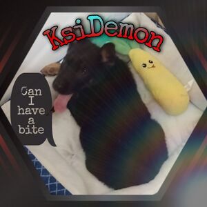 Profile picture made for KSI Demon in March 2022