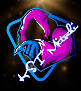 Profile picture made for KSI Mitsuki in January 2021