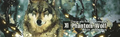 Thumbnail for version as of 14:57, 24 July 2026
