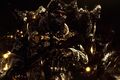 Thumbnail for version as of 20:21, 13 June 2026