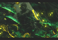 Thumbnail for version as of 23:23, 24 July 2026