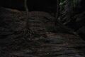 Thumbnail for version as of 03:41, 13 June 2026