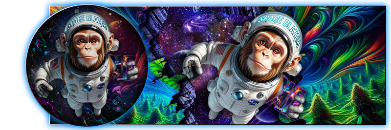 File:Spacemonkeybundle.png