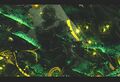 Thumbnail for version as of 19:27, 17 June 2026