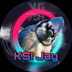 Profile picture made for KSI Jay in December 2021