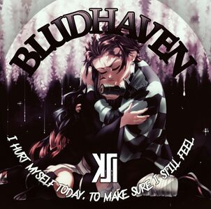 Profile picture made for Bludhaven in February 2021