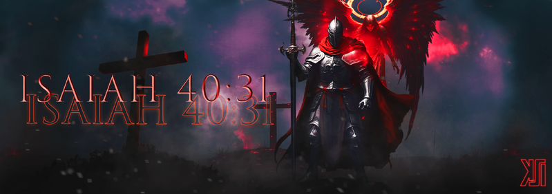 File:Paladin Banner 1.png