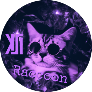 Profile picture made for KSI Raccoon in 2020