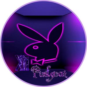 Profile picture made for KSI Pudgcat in October 2020