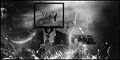 Thumbnail for version as of 17:44, 17 June 2026