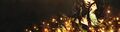 Thumbnail for version as of 08:51, 13 June 2026