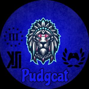 Profile picture made for KSI Pudgcat in 2020