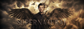 Thumbnail for version as of 23:50, 6 September 2026