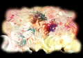 Thumbnail for version as of 12:02, 24 July 2026