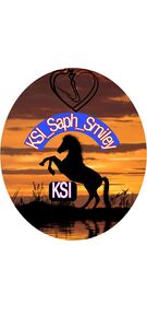 Profile picture made for KSI Aim Sapphire in January 2023