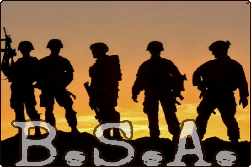 File:BSA2.webp