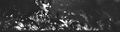 Thumbnail for version as of 17:32, 17 June 2026