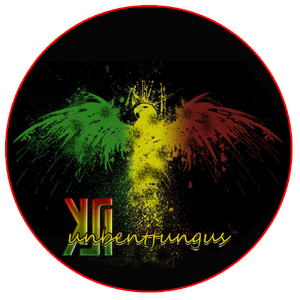 Profile picture made for KSI unbentfungus in April 2020