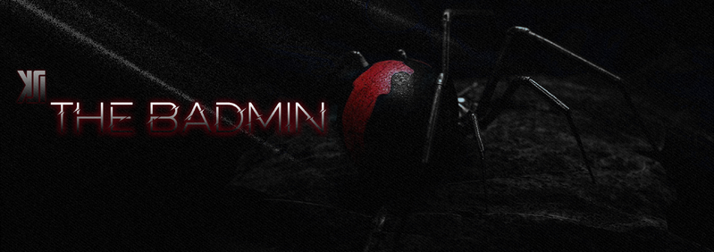 File:The bAdmin banner.png