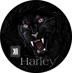 Profile picture made for KSI Harley in 2020