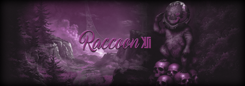 File:ShadowTheRaccoon.banner.png