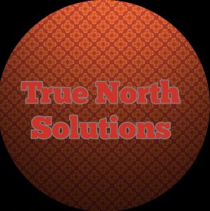 Profile picture made for True North Solutions in 2020